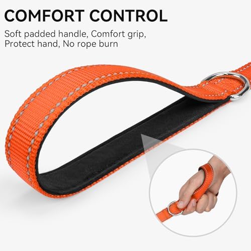 Joytale Reflective Dog Leash for Medium & Large Dogs, 4 FT x 1", Orange