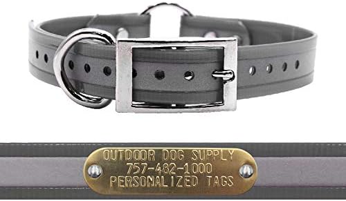 Reflective Waterproof D & Center Ring Dog Collar w Custom Name Tag, Silver