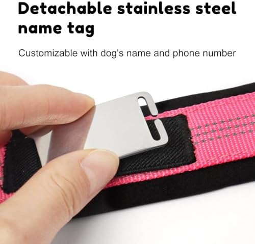 Reflective Personalized Dog Collar with Name Tag，Rose：S