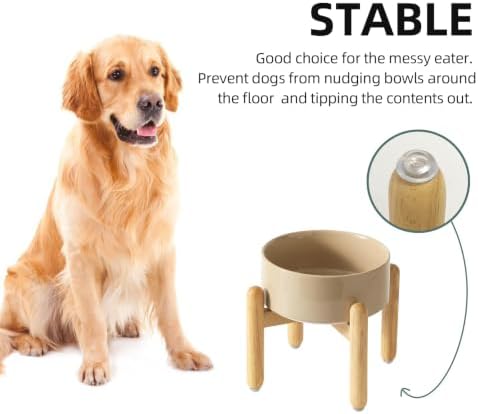 Havniva Ceramic Dog Bowls Elevated, Raised Dog Food Bowl for Small Dogs