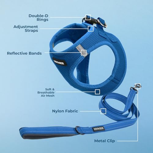 Best Pet Supplies Voyager Step-in Air All Weather Mesh Harness and Reflective Dog 5ft Leash Combo with Neoprene Handle, for Small, Medium and Large Breed Puppies - Royal Blue, X-Small