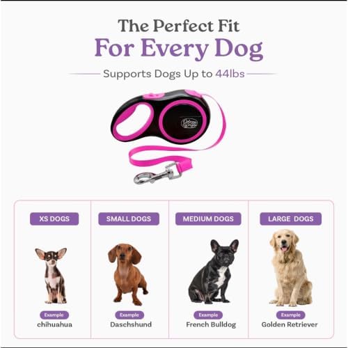 Retractable Dog Leash, 44 LBS /16FT Long, Small & Medium Dogs, Blue