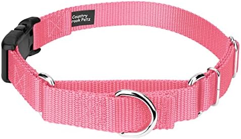 Martingale Dog Collar - Heavy Duty Nylon Adjustable Martingale Dog Collar with Plastic Buckle for Small Medium Large Breeds - 30+ Colors (1 Inch, Medium, Pink)
