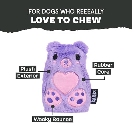 BarkBox Bear Hugger Dog Toy - 2-in-1 - Toy for Small Dogs