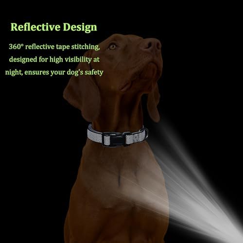 Reflective Nylon Padded Dog Collar with Quick Release Buckle