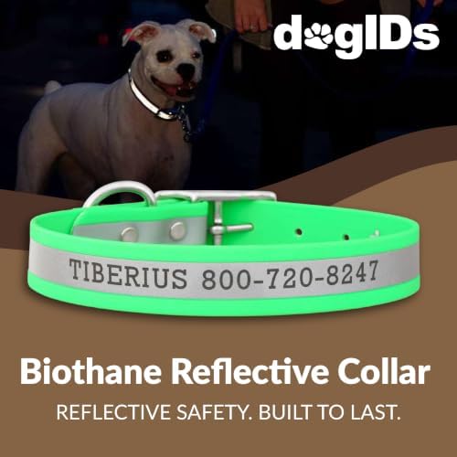 dogIDs Personalized Reflective Waterproof Dog Collar - Custom, Durable, Adjustable, Odor Resistant, Safe, Engraved - Green, 1 in x 18 in (Fits Neck Sizes: 16-20 in)
