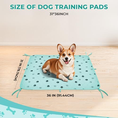 Fostanfly Washable Dog Pee Pads, Ultra-Absorbent, 31"x36"-2 Pack, Green