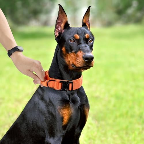 Tactical Dog Collar, Adjustable Military Training Nylon Pet Collar, Orange S