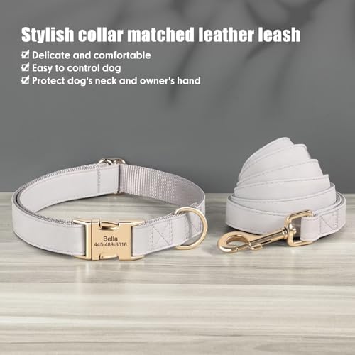 PET ARTIST Personalized Dog Collars, Custom Engraved Dog Collar with Silent Name Tag, Gold Quick Released Buckle & Soft Nylon Padded, Elegant Colors & Matching Leash for Small Dogs,Gray,S Fit 9-14"