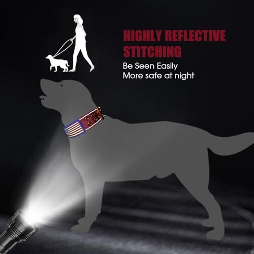 Heavy Duty Dog Collar for Medium Large Dogs,Wine Red,Large
