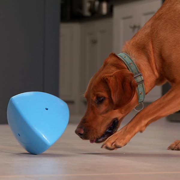 Roolo - Dog Treat Dispenser Toy (Blue), Teething Toys for All Breeds