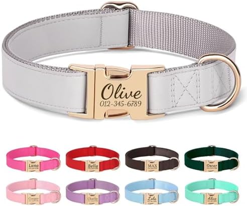 PET ARTIST Personalized Dog Collars, Custom Engraved Dog Collar with Silent Name Tag, Gold Quick Released Buckle & Soft Nylon Padded, Elegant Colors & Matching Leash for Large Dogs,Gray,L Fit 16-27"