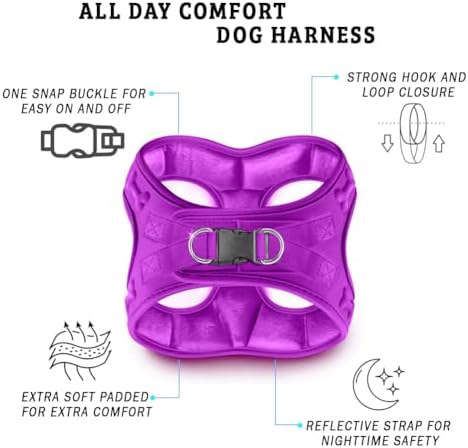 Comfort Fit Dog Harness Step in No Pull Harness for Small Medium Sized Dogs Soft Padded No Escape Harness Adjustable Easy Buckle Leash Attachment D-Ring Extra Comfort Inside Velvet Plush XS Purple