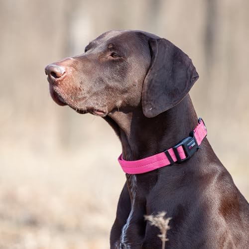 Dogline Hot Pink Nylon Collar (W: 1" L: 16"-24")