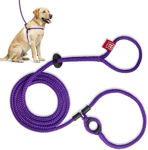 Harness Lead No Pull Dog Harness and Leash Set, Anti Pull Dog Harness, One-Piece Cushioned Rope Safely Prevents Escaping and Pulling (Medium/Large, Purple)