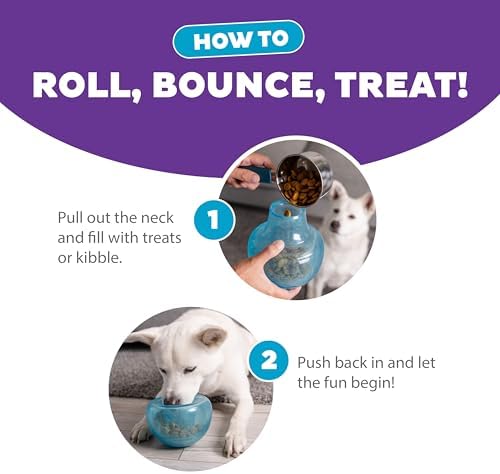 Outward Hound Snoop Interactive Treat Dispensing Dog Toy, Blue, 5"