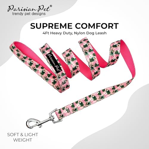Parisian Pet Floral Dog Leash - Nylon Heavy Duty Training Leashes for Dogs with Comfortable Handle - Strong Metal Clip 4Ft Puppy Leash - Tropical Toucans Chew Proof Leashes for Small and Medium Dogs