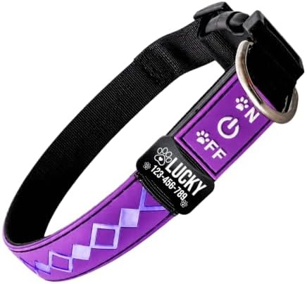 Personalized Flashing Dog Collar with Laser Engraved ID Tag