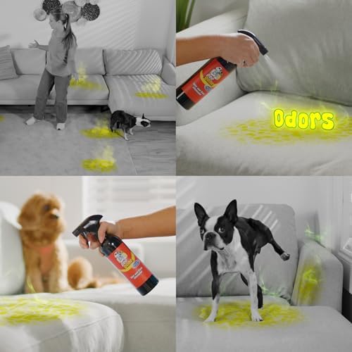 Pet Stain & Odor Eliminator, Multi-Surface Cleaner Spray for Home, Carpet Cleaner for Dog & Cat Areas, 16oz Spray Bottle & Mitt