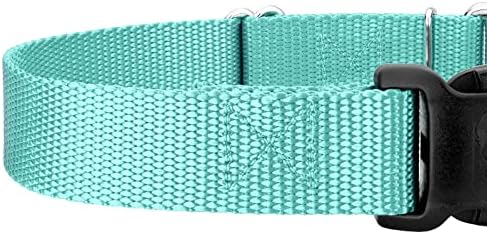 Country Brook Petz - Martingale Dog Collar - Heavy Duty Nylon Adjustable Martingale Dog Collar with Metal Buckle for Small Medium Large Breeds - 30+ Color Options (1 Inch, Large, Light Cyan)