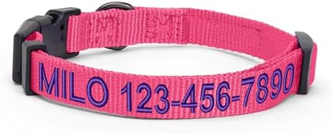 Pawtitas Personalized Dog Collar Medium Dog Collar Embroider with Name Phone Number Puppy Collar Adjustable Customized Collar for Medium Dogs Breeds Puppy Pink Dog Collar