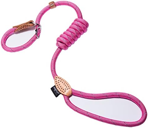 Puppy Pet Cat Dog Leash Collar Basic Accessories Reflective Retractable Dog Rope Pet Traction Belt 5FT(Medium 0.39IN, 24-66LB, Pink)