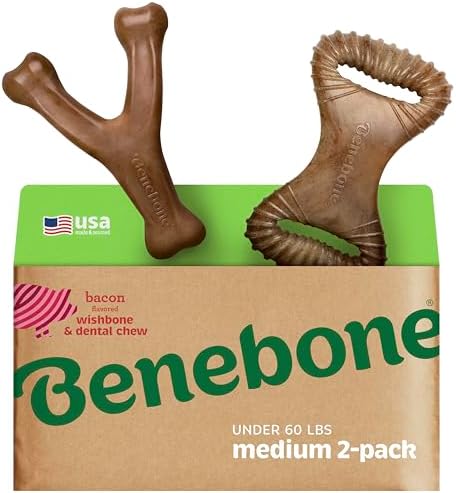 Benebone 2-pack Wishbone/Dental Durable Dog Chew Toys, Real Bacon, Medium