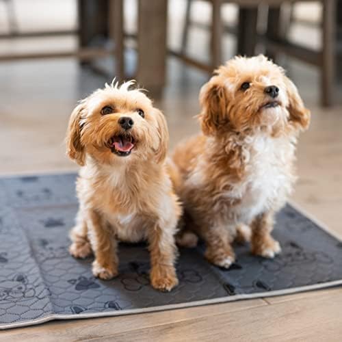 Washable Pee Pads for Dogs (2-Pack) Large 28 in x 35 in, Reusable Quilted Pet Training, Dark Gray Floor Mat Absorbent Whelping Potty and Crate Liner (DK Gray)