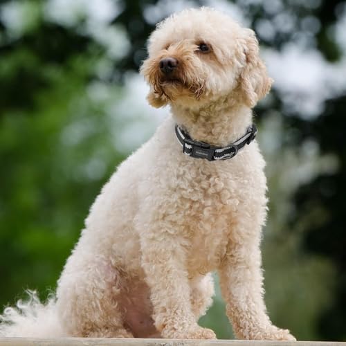 Kazazoo Small Dog Collar,Reflective Puppy Collar with Soft Padding Dog Collar No Pull,Lightweight, Nylon Collar for Puppies, Bichon Frisé, Papillon & Poodle Dogs 5-15 Lbs Black-S