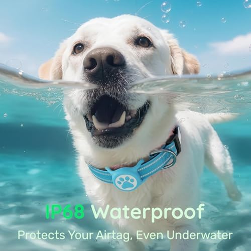 Premium Airtag Dog Collar，with IP68 Waterproof AirTag Holder,Blue,L