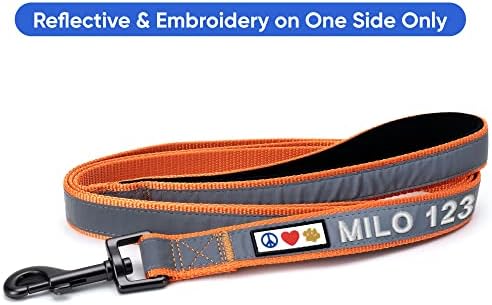 Pawtitas Personalized Orange Dog Leash 6 ft Custom ID Lead for Dogs & Puppies Reflective Comfortable Padded Handle Embroidered Name & Phone Number