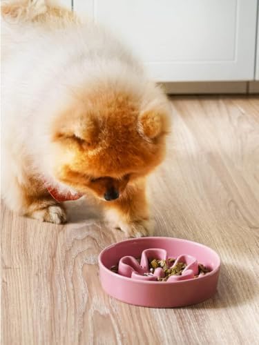 LE TAUCI Ceramic Slow Feeder Dog Bowls Small Breed, 0.6 Cups Dog Food Dish for Fast Eaters, Puzzle Bowl for Small Dogs and Cats,Pink+Green