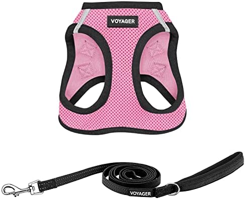 Best Pet Supplies Voyager Step-in Air All Weather Mesh Harness and Reflective Dog 5ft Leash Combo with Neoprene Handle, for Small, Medium and Large Breed Puppies - Pink Base, X-Large