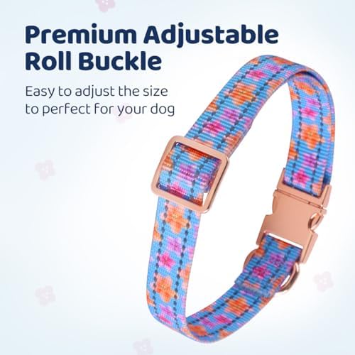 QQPETS Reflective Dog Collar with Metal Buckle Adjustable Nylon Collars Gift for Small Medium Large Boys Girls Dogs