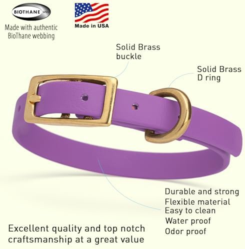 Viper Biothane Heavy Duty Waterproof Dog Collar Strong Coated Nylon Webbing w/Solid Brass Hardware Odor-Proof for Easy Care to Clean High Performance Fits Small Medium or Large Dogs, Amethyst Purple