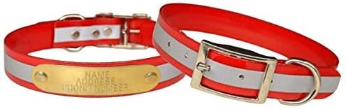 Reflective Dayglo Dog Collar Free Engraved Brass ID tag USA (Red 25")