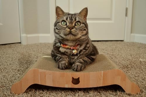 Necoichi Cardboard Cat Scratcher Couch for Indoor Cats - Cat Scratching Board, Horizontal Cat Scratch Pad Lounger with Reversible Usability and Extra Comfort for Lounge, Curved (17" Regular, Oak)