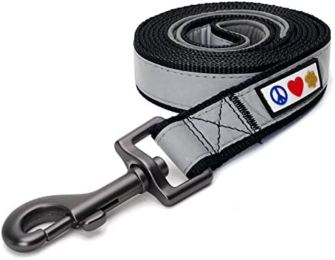 6-Ft Reflective Padded Leash by Pawtitas Store