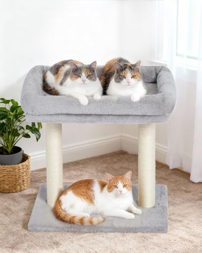 19" Small Cat Tree with Scratching Post for Indoor Cats with Perch