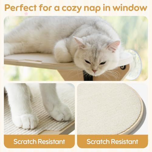 EDAGNY Cat Window Perch Cat Platform for Climbing with Strong Suction Cups