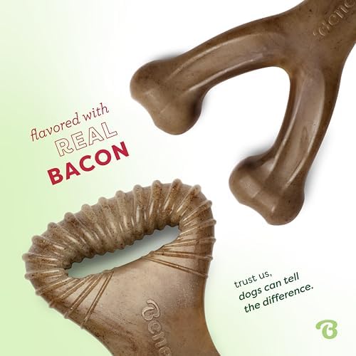 Benebone Wishbone/Dental Durable Dog Chew Toys, Real Bacon, 2 Count Medium (Pack of 8)
