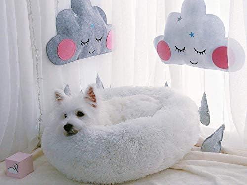 Modern Soft Plush Round Pet Bed for Cats or Small Dogs, Mini Medium Sized Dog Cat Bed Self Warming Autumn Winter Indoor Snooze Sleeping Cozy Kitty Teddy Kennel (24'' D x 8'' H, White)