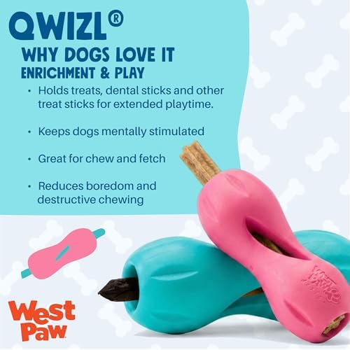 WEST PAW Qwizl Durable Zogoflex Dog Puzzle Toy for Mental Stimulation, and Enrichment - Treat Dispensing for Bully Sticks and Dental Sticks - Dishwasher Safe - Made in USA - Small - Teal