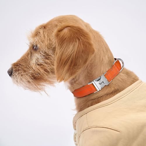 Silent Dog Collar Personalized with Name Phone Number Laser Engraved
