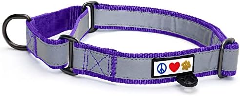 Pawtitas Personalized Dog Collar Martingale Dog Collar with Name Phone Number Reflective Martingale Dog Collar Customized Collar for Small Dogs | Purple Custom Dog Collars for Small Dogs