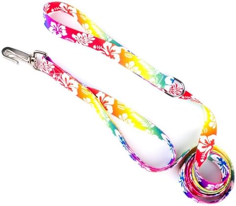 Country Brook Petz - Deluxe Hawaiian Rainbow Dog Leash - Summer Breeze Collection Featuring Sunny Designs (6 Foot, 5/8 Inch Wide)