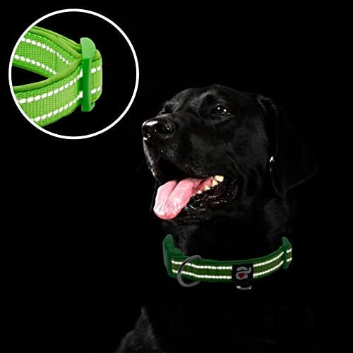 azuza Reflective Dog Collar, Neoprene Padded Puppy Collar, Green, XS