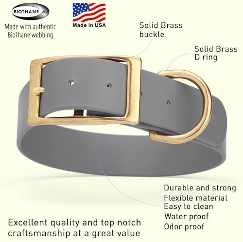 Viper Biothane Heavy Duty Waterproof Dog Collar Strong Coated Nylon Webbing w/Solid Brass Hardware Odor-Proof Easy to Clean High Performance Fits Small Medium or Large Dogs, Battleship Gray