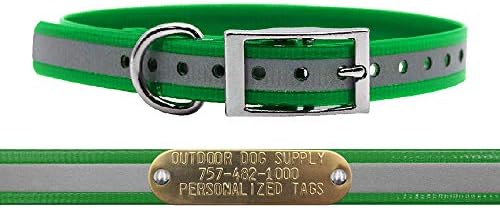 Reflective D-Ring Dog Collar w Custom Name Tag 3/4x15, Dark Green