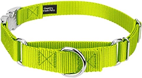 Country Brook Petz - Martingale Dog Collar - Heavy Duty Nylon Adjustable Martingale Dog Collar with Metal Buckle for Small Medium Large Breeds - 30+ Color Options (1 Inch, Large, Hot Yellow)